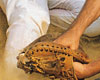 Base slide