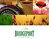Bridgeport postcards